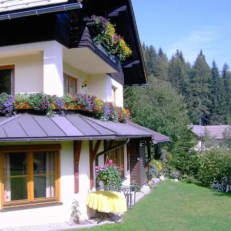 In Hermagor Pressegger With Sauna Apartment